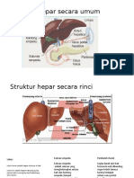 Struktur Hepar