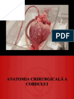 Anatomia Chirurgicală a Cordului