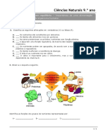 Importância de uma alimentação saudável no equilíbrio do organismo humano.docx