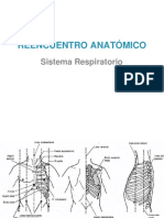 REENCUENTRO ANATÓMICO (Sistema Respiratorio)