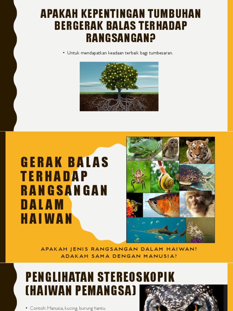 Gerak Balas Terhadap Rangsangan Dalam Haiwan Pdf