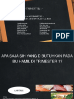 Kebutuhan Ibu Hamil Trimester 1