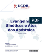 evangelhos_sinoticos_e_atos_dos__apostolos