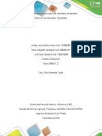 Fase 4 - Aplicación de Un Sistema de Indicadores Ambientales - 358024 - 12