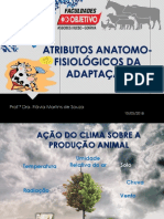 Atributos Anatomo-Fisiológicos Da Adaptaçao PDF