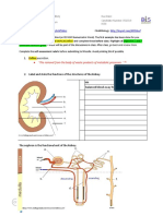 Essential Biology Kidney Worksheet