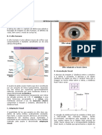 Optica Da Visao