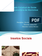 Isetos Sociais