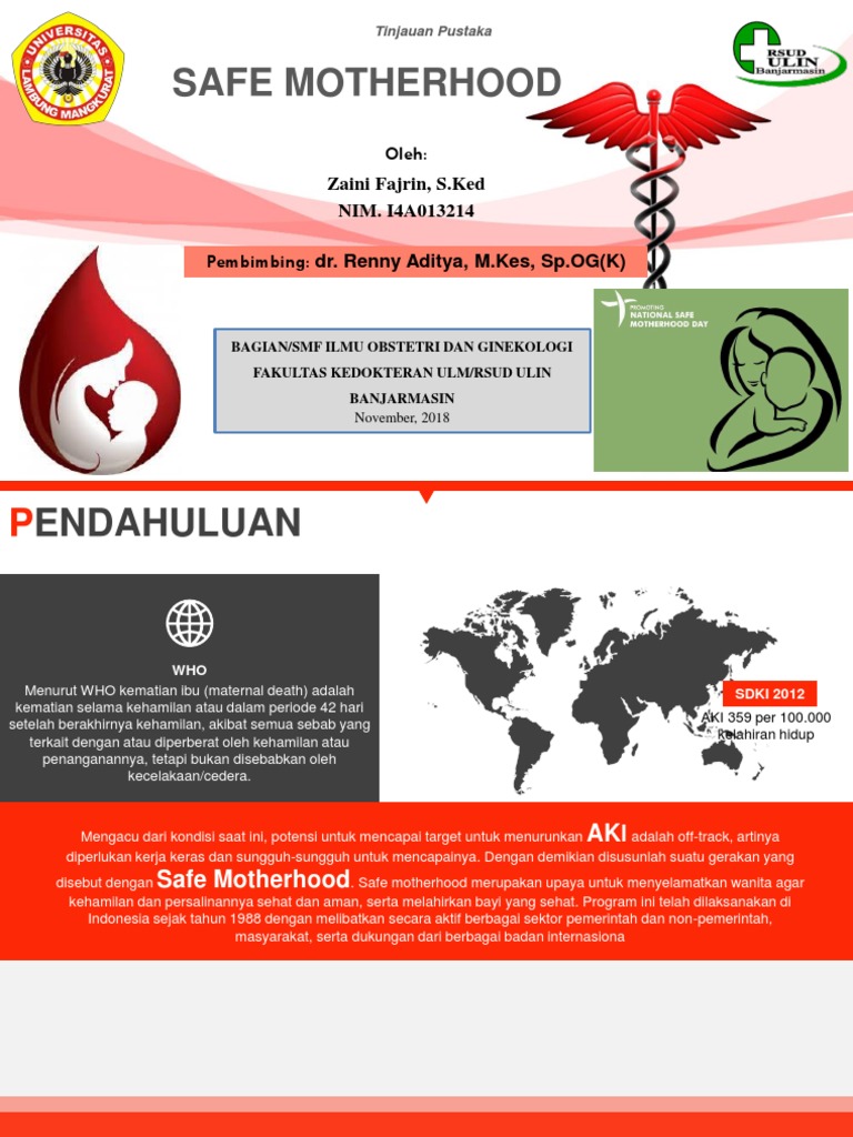 Safe Motherhood | PDF