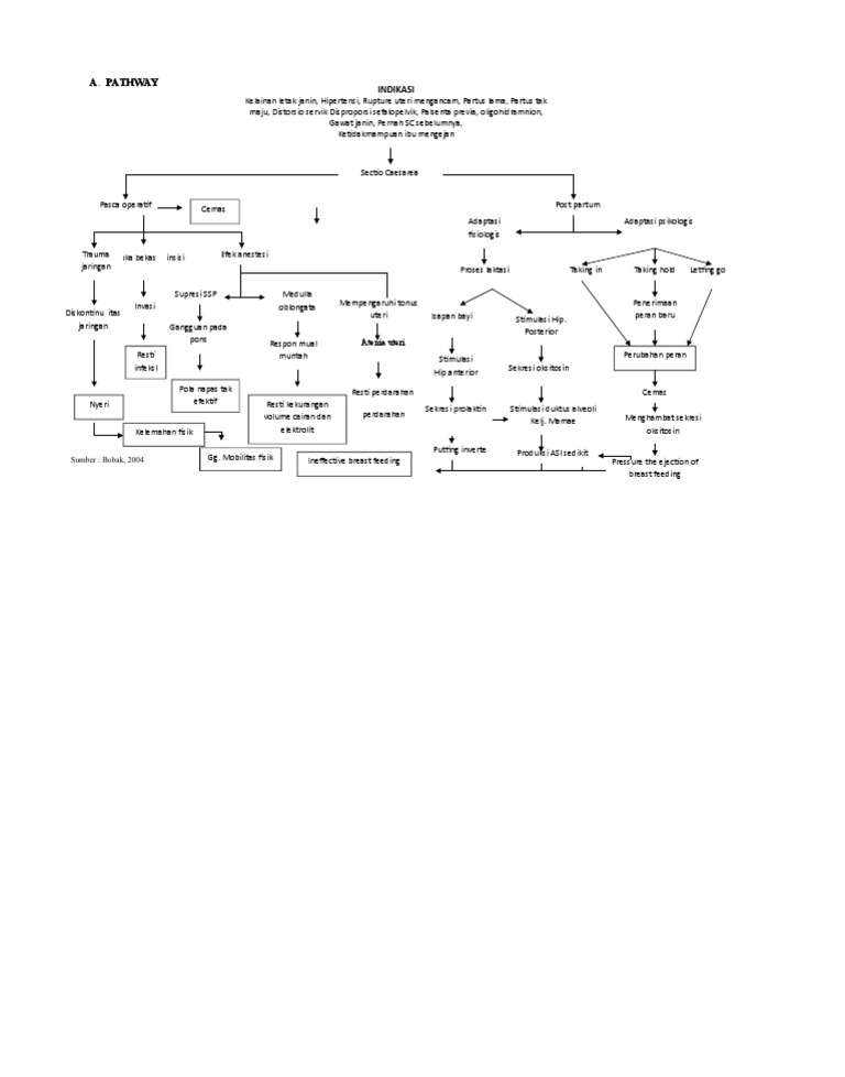 Indikasi dan Pathway Sectio Caesarea | PDF