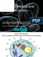 Animal Cell Structure and Function Student