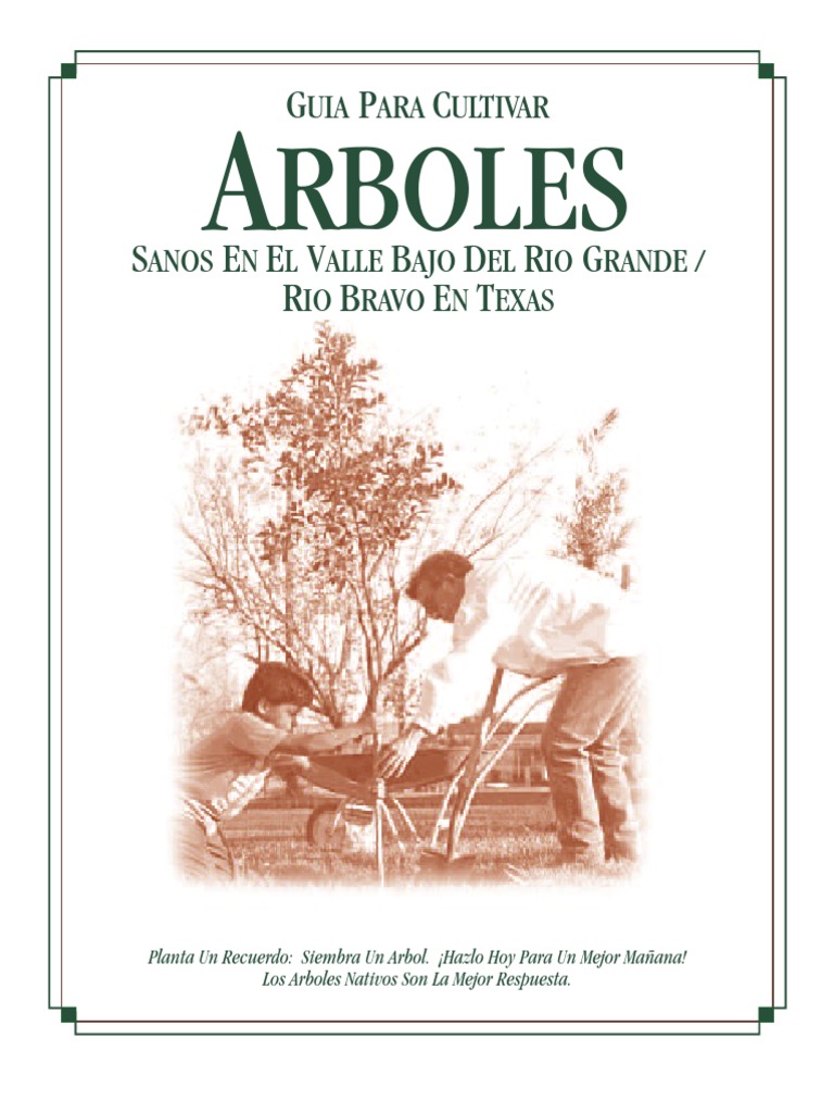 Plantas Nativas de Texas para Complementar la Casa de Tus Sueños de  Tropicana Homes! - Tropicana Homes | El Paso Homes, El Paso Home Builder, image size:768x1024