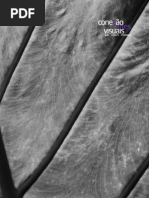 Revista Investigação n° 11