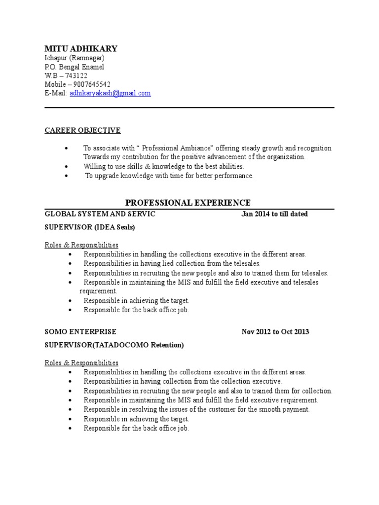 what-are-the-roles-and-responsibilities-of-mis-executive