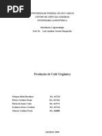 Produção de café orgânico