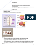 NCM107 MCN - Pedia Nursing SL Semifinal Handouts