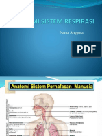 Anatomi Sistem Respirasi