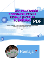 Pedoman PKPR Di Puskesmas