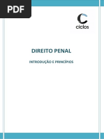 1. INTRODUÇÃO E PRINCÍPIOS DO DIREITO PENAL