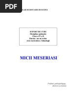suport curs  optional Micii meseriasi