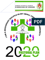 Pastoral Plan 2020-1-2-1