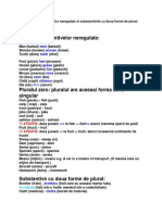 Pluralul Substantivelor Neregulate Si Substantivele Cu Doua Forme de Plural