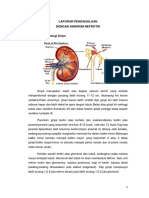 LP Sindrom Nefrotik