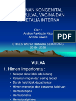 Materi Kelainan Kongenital Pada Vulva, Vagina, Genetalia Internal