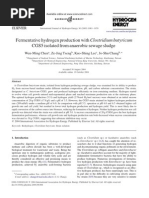 Download Fermentative Hydrogen Production With Clostridium Butyricum by Sawang Loy R Kart SN44674598 doc pdf