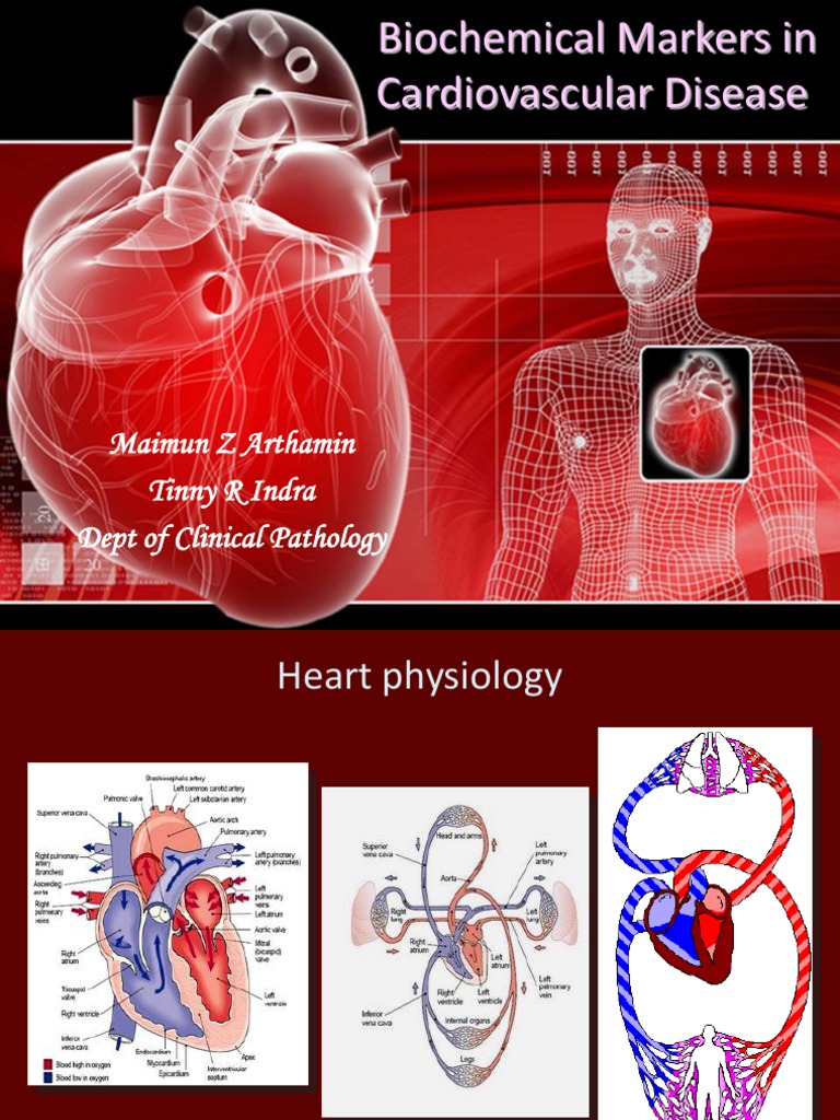 Biochemical Markers in Cardiovascular Disease | PDF | Coronary Artery ...