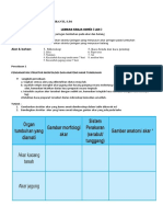 LKS JARINGAN AKAR & DAUN.docx