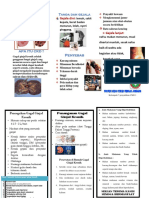 LEAFLET CKD ew.docx