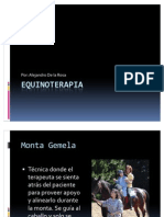 EQUINOTERAPIA