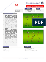 Manual de Entrenamiento