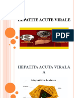 Hepatite Acute Virale