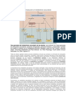 Introducción Al Metabolismo Secundario