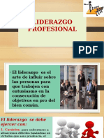 Liderazgo Del Profesional