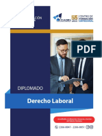 DOCUMENTO DIPLOMADO DERECHO LABORAL.pdf