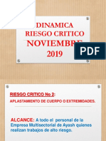 DINAMICA DE RIESGO CRITICO Noviembre 2019