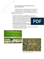 Tarea 1 Ecologia