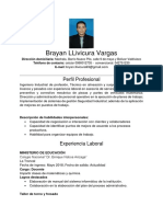 CV Brayan LLivicura Vargas_Naranjal