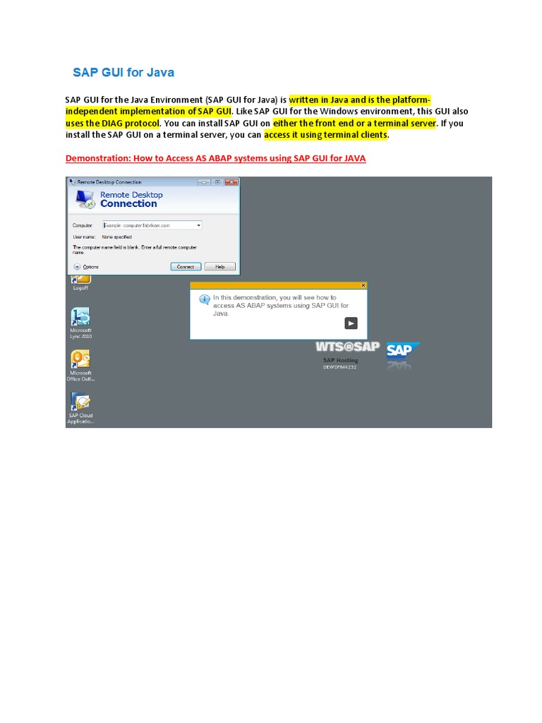 SAP GUI For The Java Environment | PDF