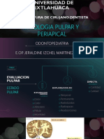Patologia Pulpar PDF