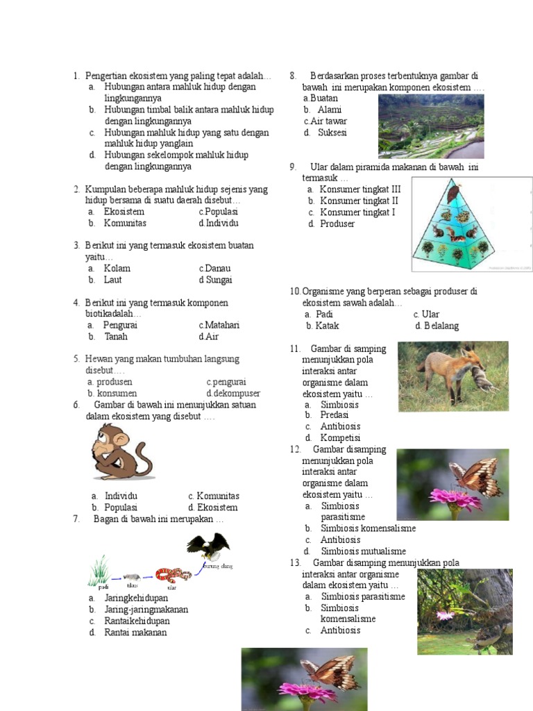 Soal Ph Ekosistem Pdf