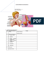 SISTEM PERNAPASAN MANUSIA.pdf