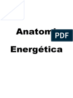 2 Anatomia Energética