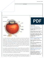 Eye and Gaze