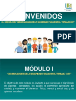 Modulo I. Generalidades de La Seguridad y Salud en El Trabajo