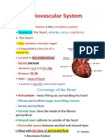 Cardiovascular System PDF