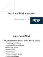 Head and Neck Anatomy 2